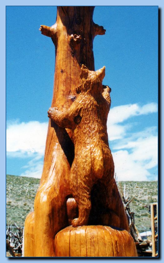 2-01 bobcat-archive-0001